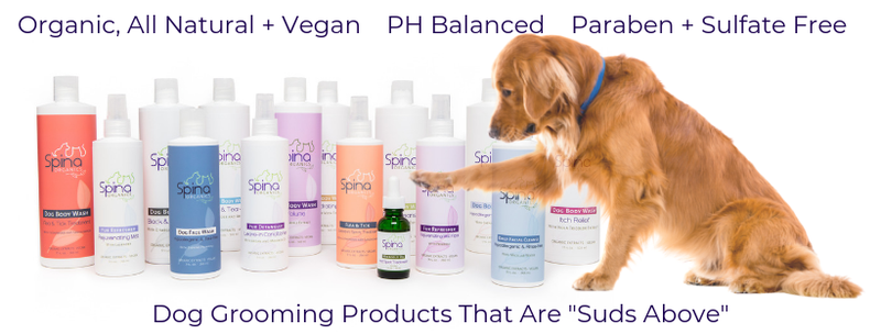 As one of Beverly Hills top hairstylists, Mauro Spina knows a thing or two about hair care. When his dog Tina suffered from alopecia and pimples, Mauro's goal was simple-- create a line of healthy, organic, and natural pet grooming products as an alternative to the chemical treatments and injections that vets proposed