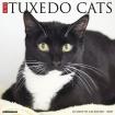 Cat calenders on sale - save 70% on cat calendars