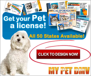 The ID that looks like a Driver's License for all 50 USA States and Canada. With our 24 Hour printing guarantee, your loved cat, dog, or any pet will get an authentic State Dog ID collar tag, along with (3) Personalized Key-Chain IDs usually the same week you order. PLUS...additional pets only $9.95 at checkout! Get the most unique Personalized Pet ID Tag available.