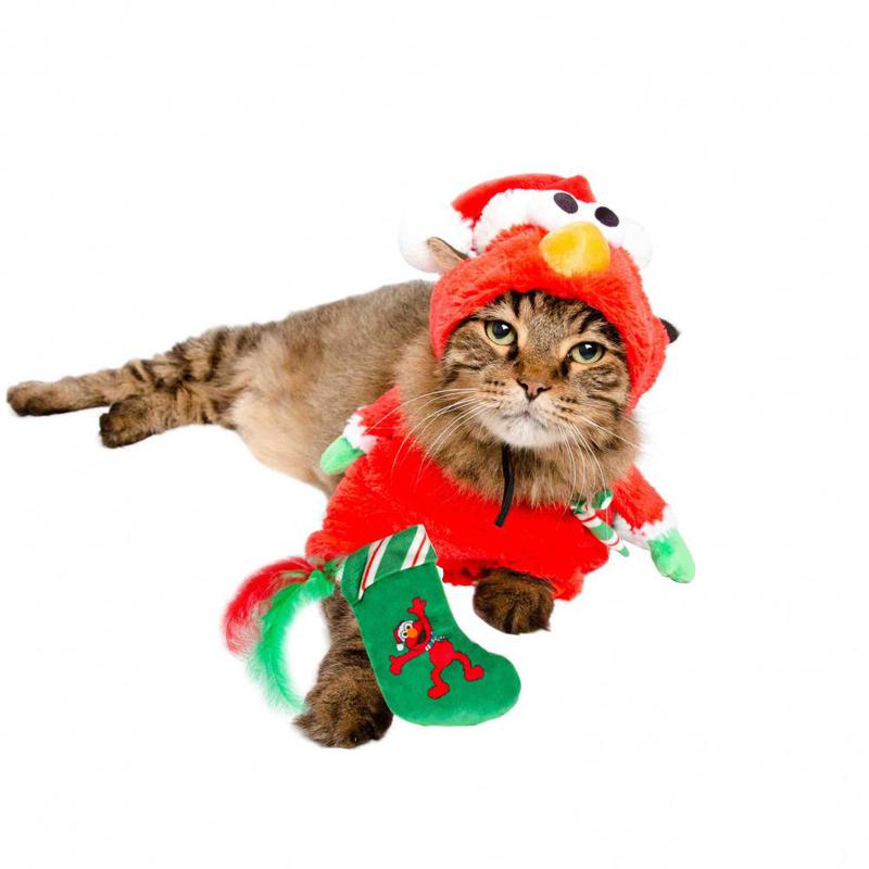 Pet Krewe - Free shipping | Chewy